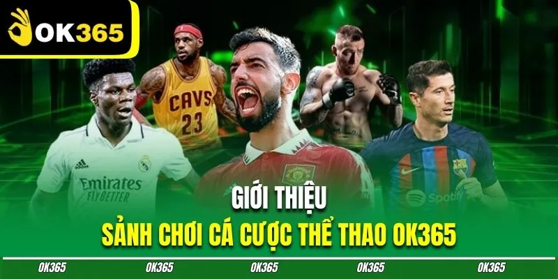 Tổng quan hệ thống thể thao OK365